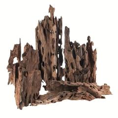 Dragon wood | 1kg