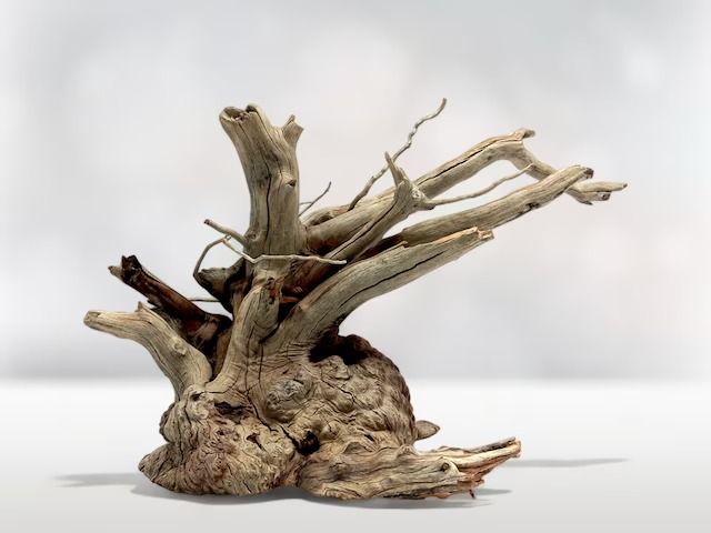 Mini tree wood | 1kg