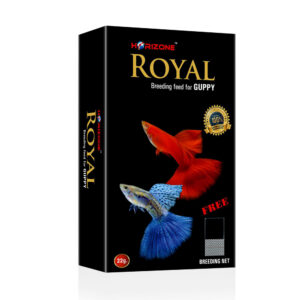 Royal guppy | 25gm